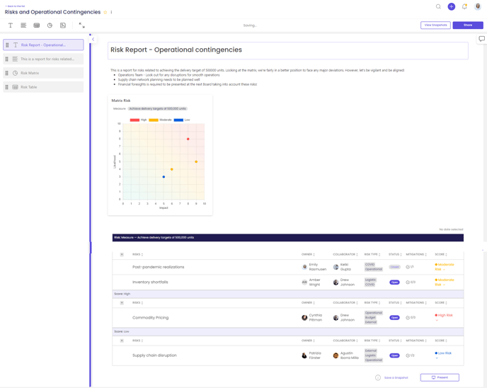 Risk Report