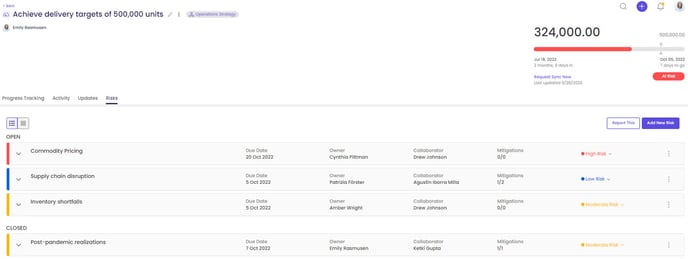 Risks_GoalHub_Table View